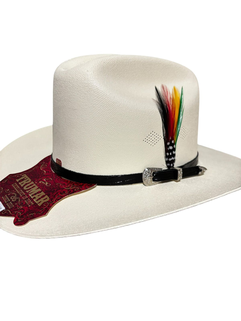Sombrero Vaquero Estilo Carin leon 150x Falda corta 8 cm