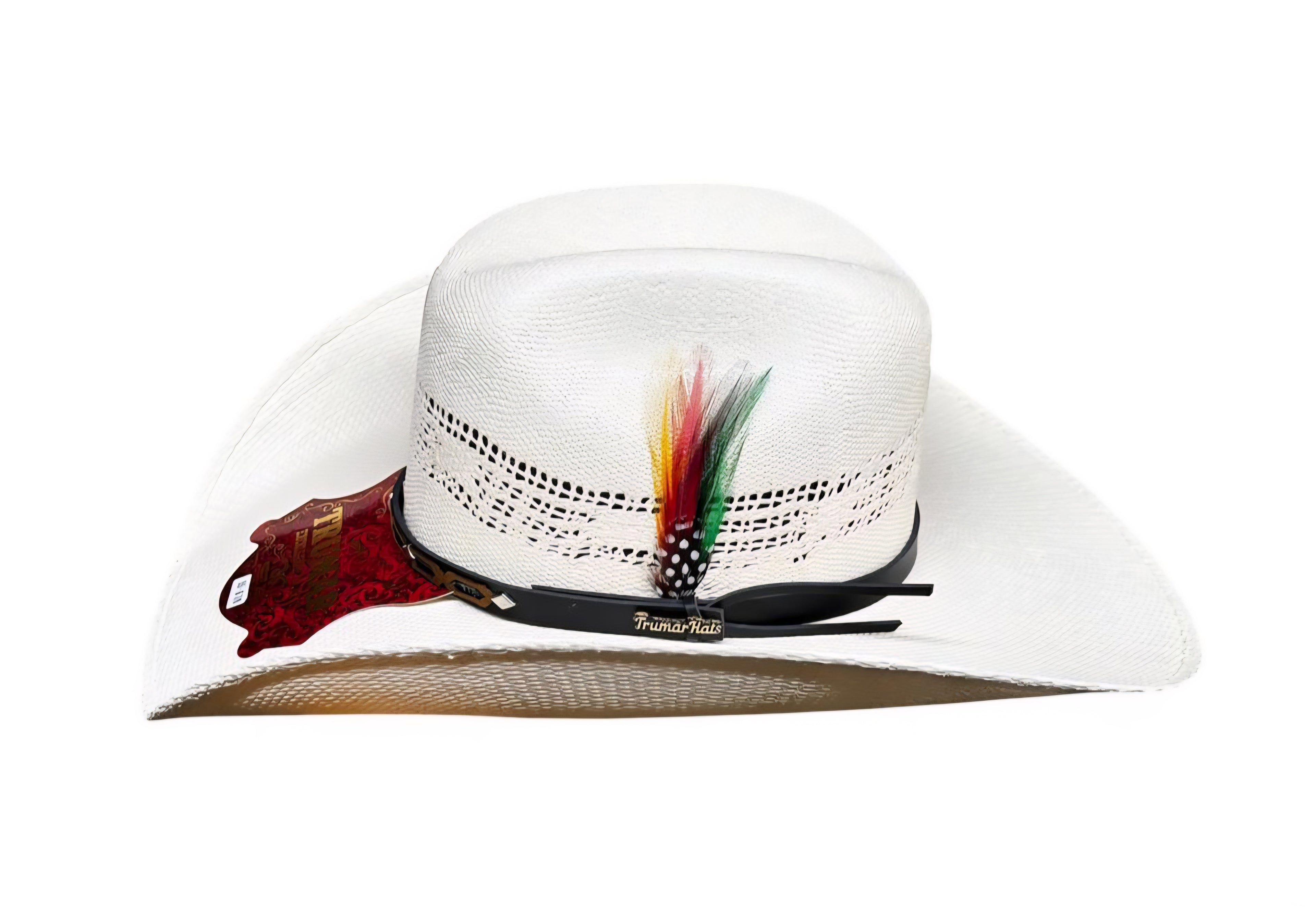 Sombrero Vaquero Bangora 300x Chihuahua Falda 11 cm