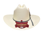 Sombrero Vaquero Modelo Americana 150x Biplay Gris Trumar hats