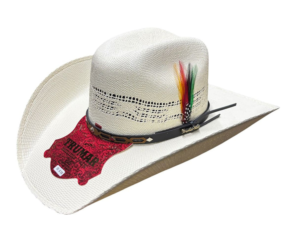 Sombrero Vaquero Bangora 300x Chihuahua Falda 11 cm