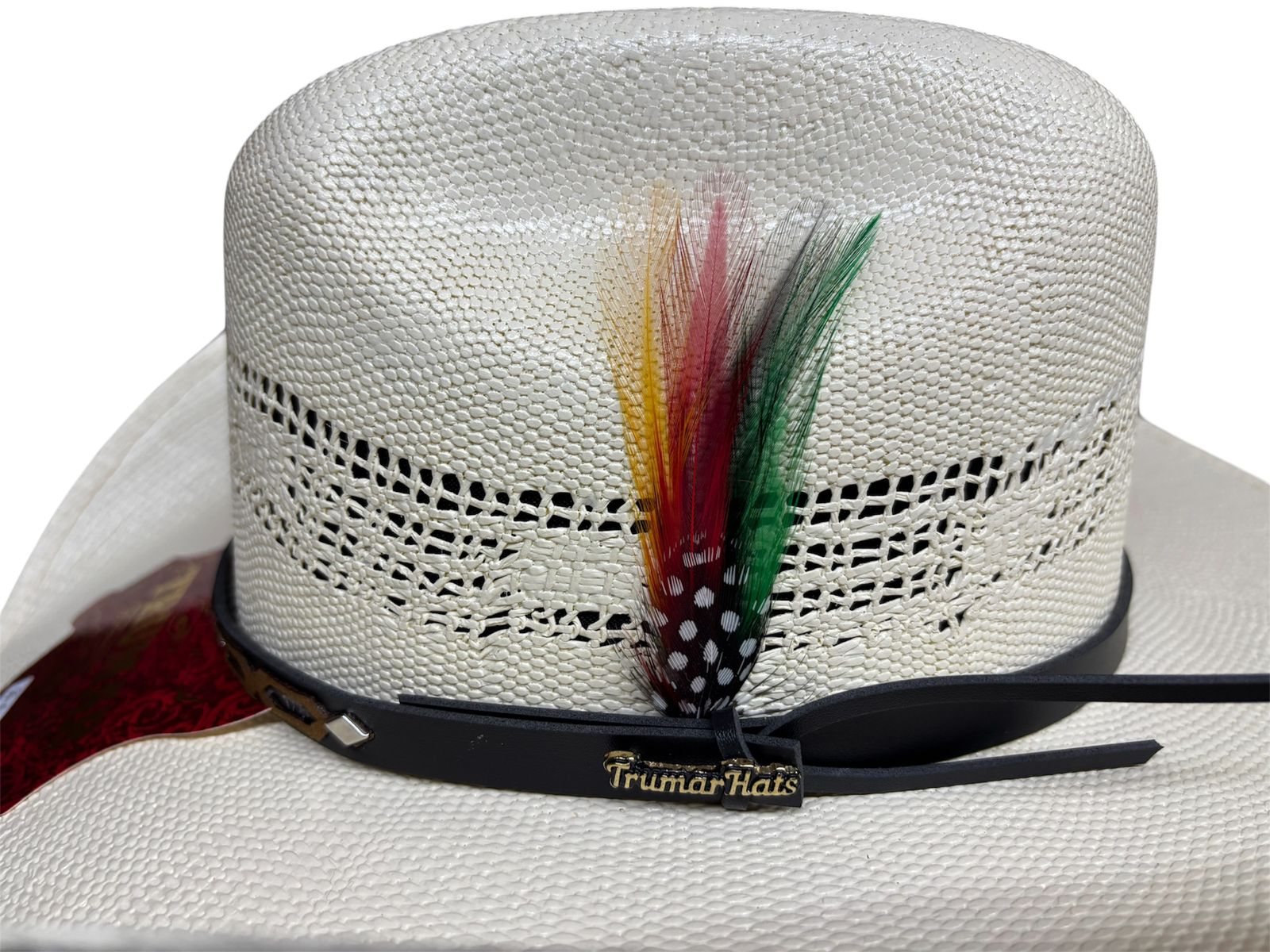 Sombrero Vaquero Bangora 300x Chihuahua Falda 11 cm